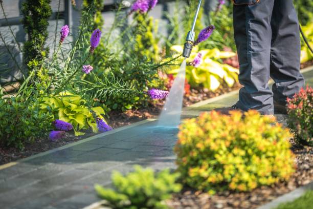 Best Winterizing Services  in Island City, OR