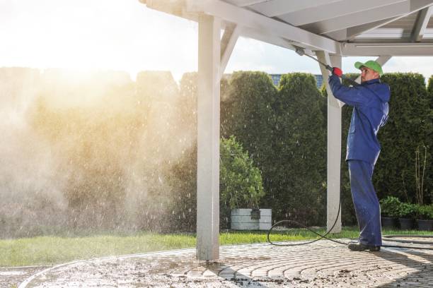 Best Sidewalk and Walkway Cleaning  in Island City, OR