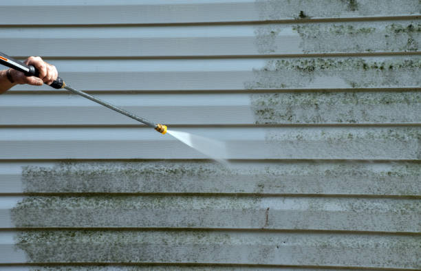 Pre-Holiday Cleaning in Island City, OR